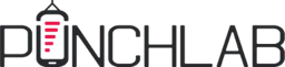 PunchLab logo